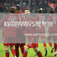 特爾納納VS維琴察