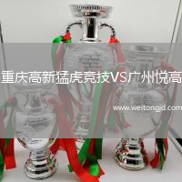 重慶高新猛虎競技VS廣州悅高