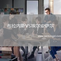 布拉內斯VS埃爾安薩爾
