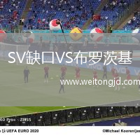 SV缺口VS布羅茨基