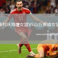 曼利沃海鷹女籃VS山丘黃蜂女籃