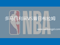 多馬日利采VS普日布拉姆