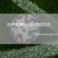 水戶蜀葵VS長崎成功丸