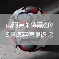 南阿德萊德黑豹VS阿德萊德眼鏡蛇