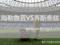 海勒魯普VS齊斯泰茲
