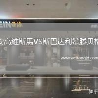 安高維斯馬VS斯巴達利希滕貝格