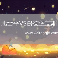 北雪平VS哥德堡蓋斯