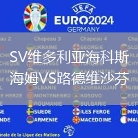 SV維多利亞海科斯海姆VS路德維沙芬
