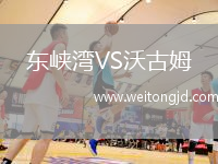 東峽灣VS沃古姆