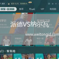 派德VS納爾瓦