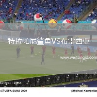 特拉帕尼鯊魚VS布雷西亞