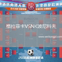 格拉菲卡VSNK波尼科夫