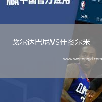 戈爾達巴尼VS什圖爾米