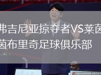 弗吉尼亞掠奪者VS萊茵布里奇足球俱樂部