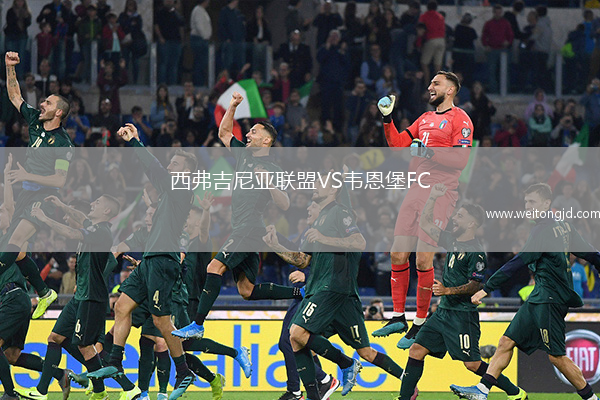 西弗吉尼亞聯盟VS韋恩堡FC