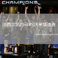 法西爾凱內馬VS沃萊塔迪查