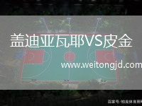 蓋迪亞瓦耶VS皮金