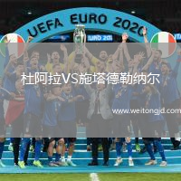 杜阿拉VS施塔德勒納爾