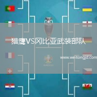 獵鷹VS岡比亞武裝部隊