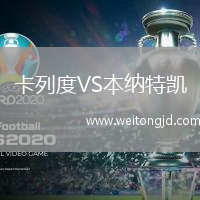 卡列度VS本納特凱