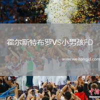 霍爾斯特布羅VS小男孩FD