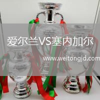 愛爾蘭VS塞內(nèi)加爾