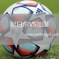 尼日爾VS加蓬