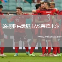 哈柯亞東悉尼市VS萊德米爾
