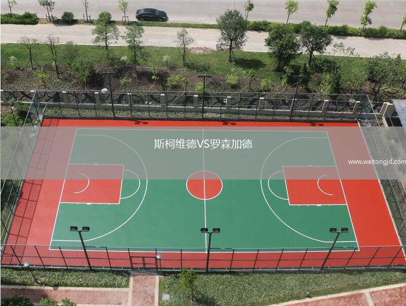 斯柯維德VS羅森加德