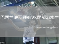 巴西蘭維瓦領(lǐng)航VS民都洛水牛