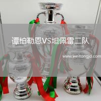 譚柏勒恩VS坦佩雷二隊