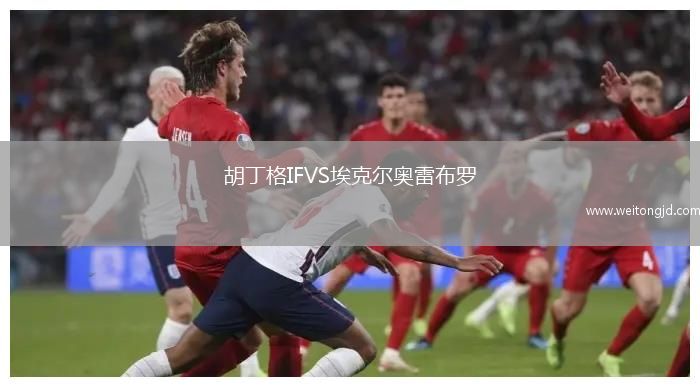 胡丁格IFVS埃克爾奧雷布羅