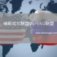 維斯吉爾聯盟VSPERG聯盟