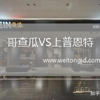 哥查瓜VS上普恩特