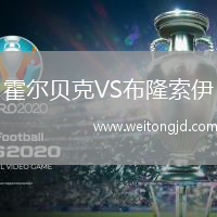 霍爾貝克VS布隆索伊