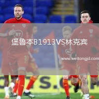 堡魯本B1913VS林克賓