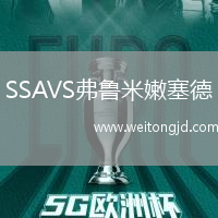 SSAVS弗魯米嫩塞德