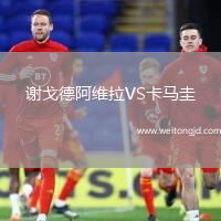 謝戈德阿維拉VS卡馬圭