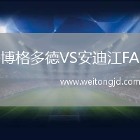 博格多德VS安迪江FA