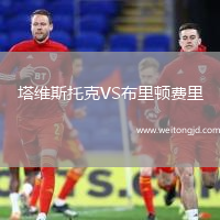 塔維斯托克VS布里頓費(fèi)里