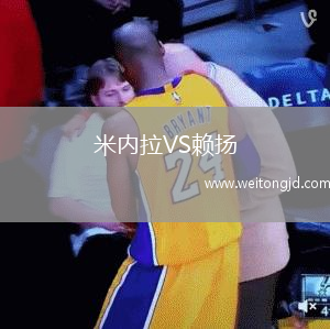 米內拉VS賴揚