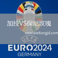加拉VS保尼玫瑰
